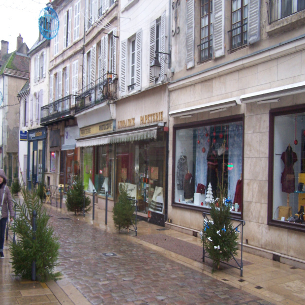 Location Immobilier Professionnel Local commercial Avallon 89200
